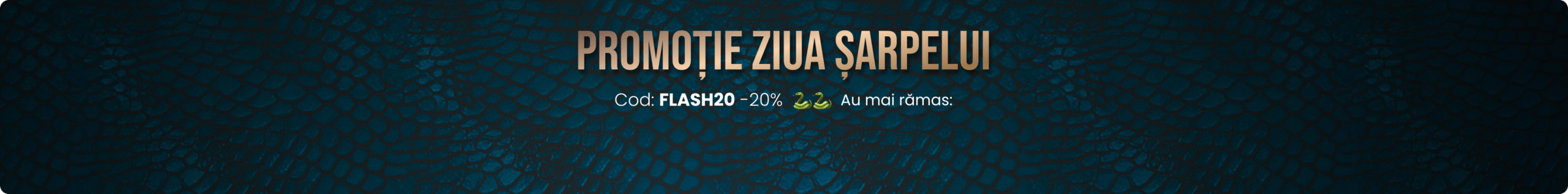 Custom Banner